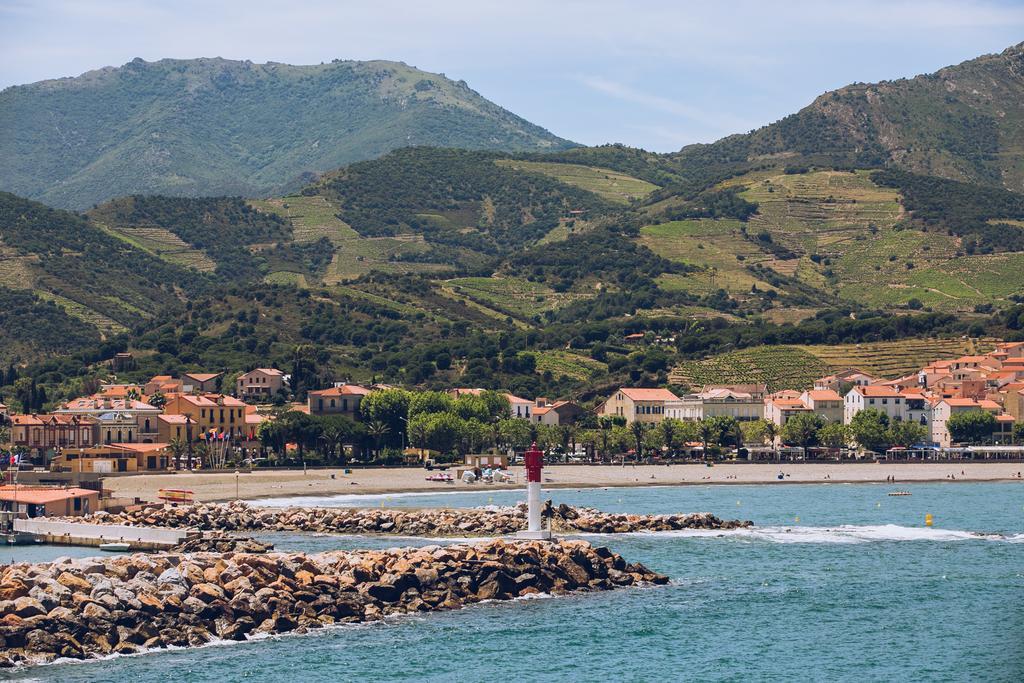 Regina'S Banyuls - Spatious Apartment Next To The Beach Ngoại thất bức ảnh