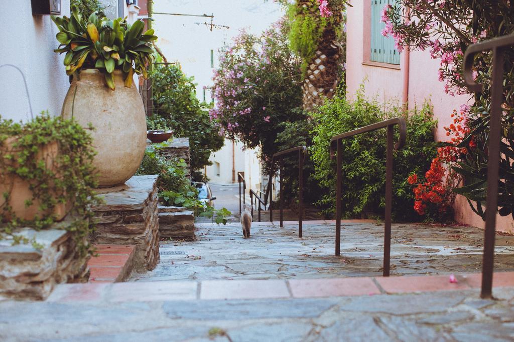 Regina'S Banyuls - Spatious Apartment Next To The Beach Ngoại thất bức ảnh