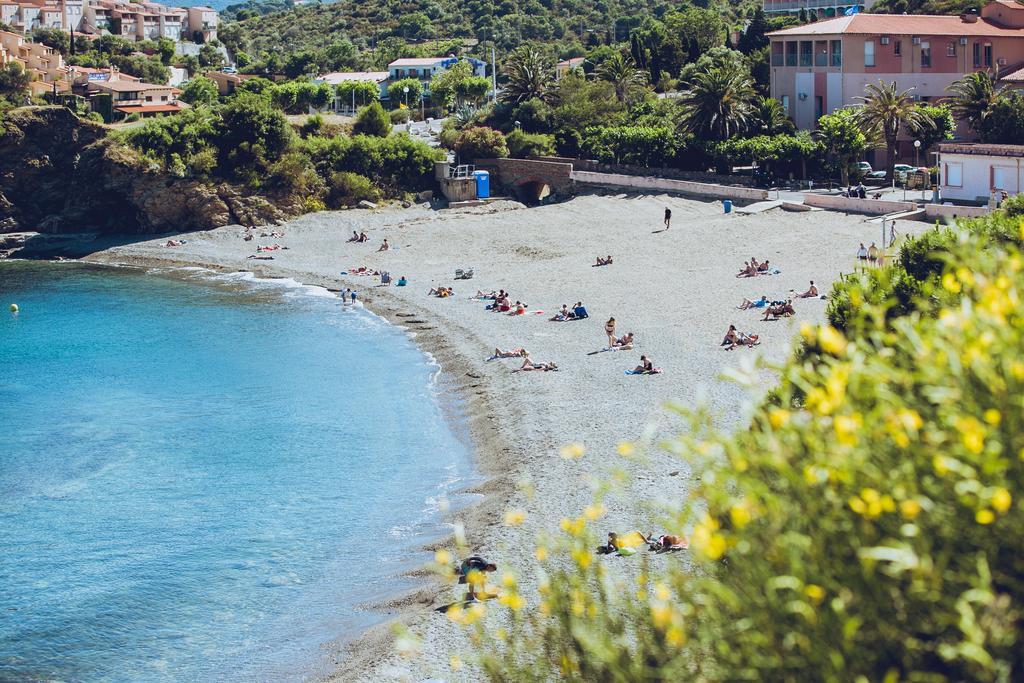 Regina'S Banyuls - Spatious Apartment Next To The Beach Ngoại thất bức ảnh