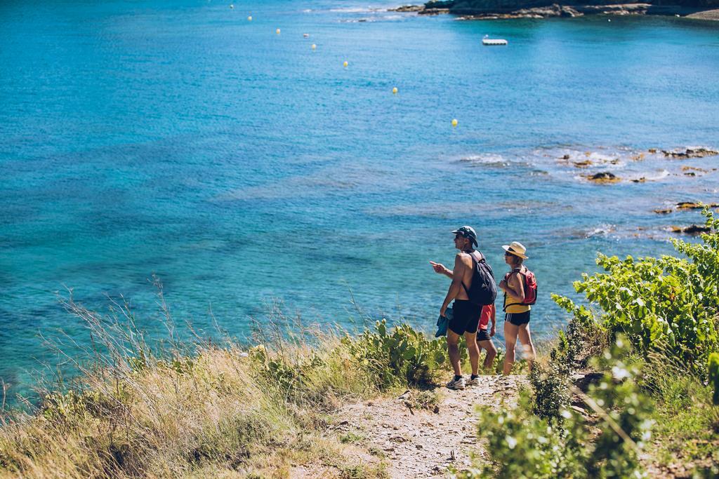 Regina'S Banyuls - Spatious Apartment Next To The Beach Ngoại thất bức ảnh